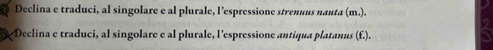 Declina e traduci, al singolare e al plurale, l’espressione strenuus nauta (m.). 
Declina e traduci, al singolare e al plurale, l’espressione antiqua platanus (f.).