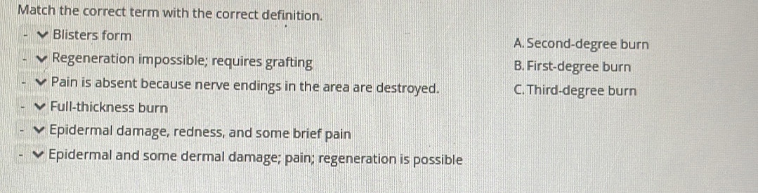 Match the correct term with the correct definition.
Blisters form A. Second-degree burn
Regeneration impossible; requires grafting B. First-degree burn
Pain is absent because nerve endings in the area are destroyed. C. Third-degree burn
Full-thickness burn
Epidermal damage, redness, and some brief pain
Epidermal and some dermal damage; pain; regeneration is possible