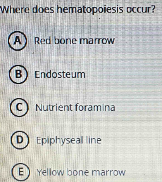 Where does hematopoiesis occur?
A Red bone marrow
B ) Endosteum
Nutrient foramina
D) Epiphyseal line
E Yellow bone marrow