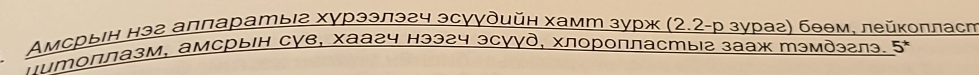 Амсрыιн нэг алларатыιг хурээлэгч эсγγδийн хамт зурж (2.2-р зураг) бθθм. лейколласт 
*птоплазм, амсрыΙΗ суе, хаагч нээ2ч эсуγд, хлоропластыа зааж Мэмдэглэ. 5*