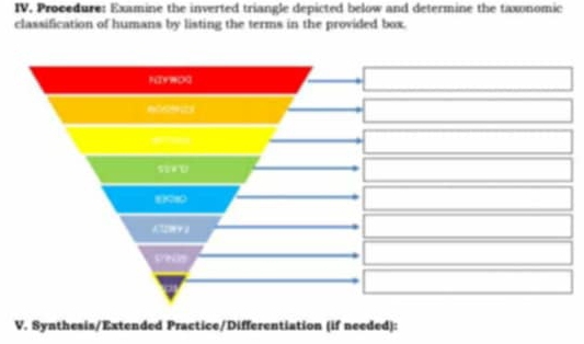 Solved: Procedure: Examine the inverted triangle depicted below and ...