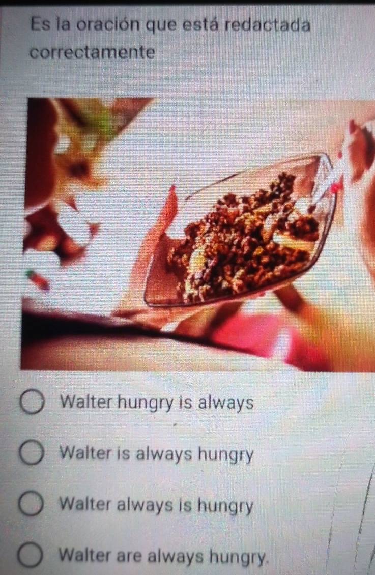 Es la oración que está redactada
correctamente
Walter hungry is always
Walter is always hungry
Walter always is hungry
Walter are always hungry.