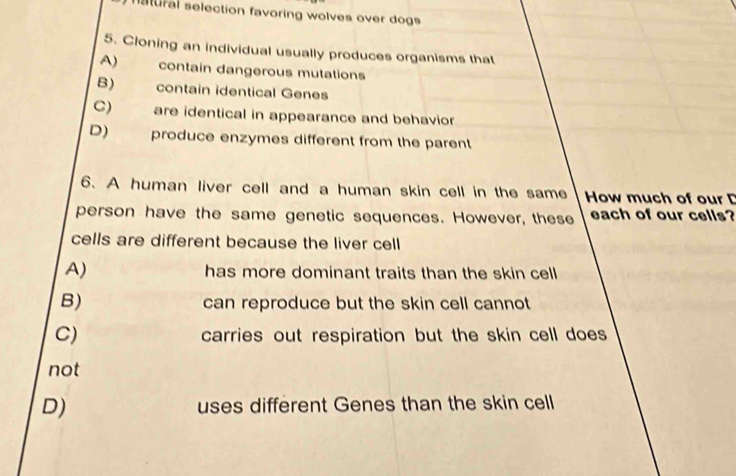 natural selection favoring wolves over dogs
5. Cloning an individual usually produces organisms that
A) contain dangerous mutations
B) contain identical Genes
C) are identical in appearance and behavior
D) produce enzymes different from the parent 
6. A human liver cell and a human skin cell in the same How much of our D
person have the same genetic sequences. However, these each of our cells?
cells are different because the liver cell
A) has more dominant traits than the skin cell
B) can reproduce but the skin cell cannot
C) carries out respiration but the skin cell does
not
D) uses different Genes than the skin cell