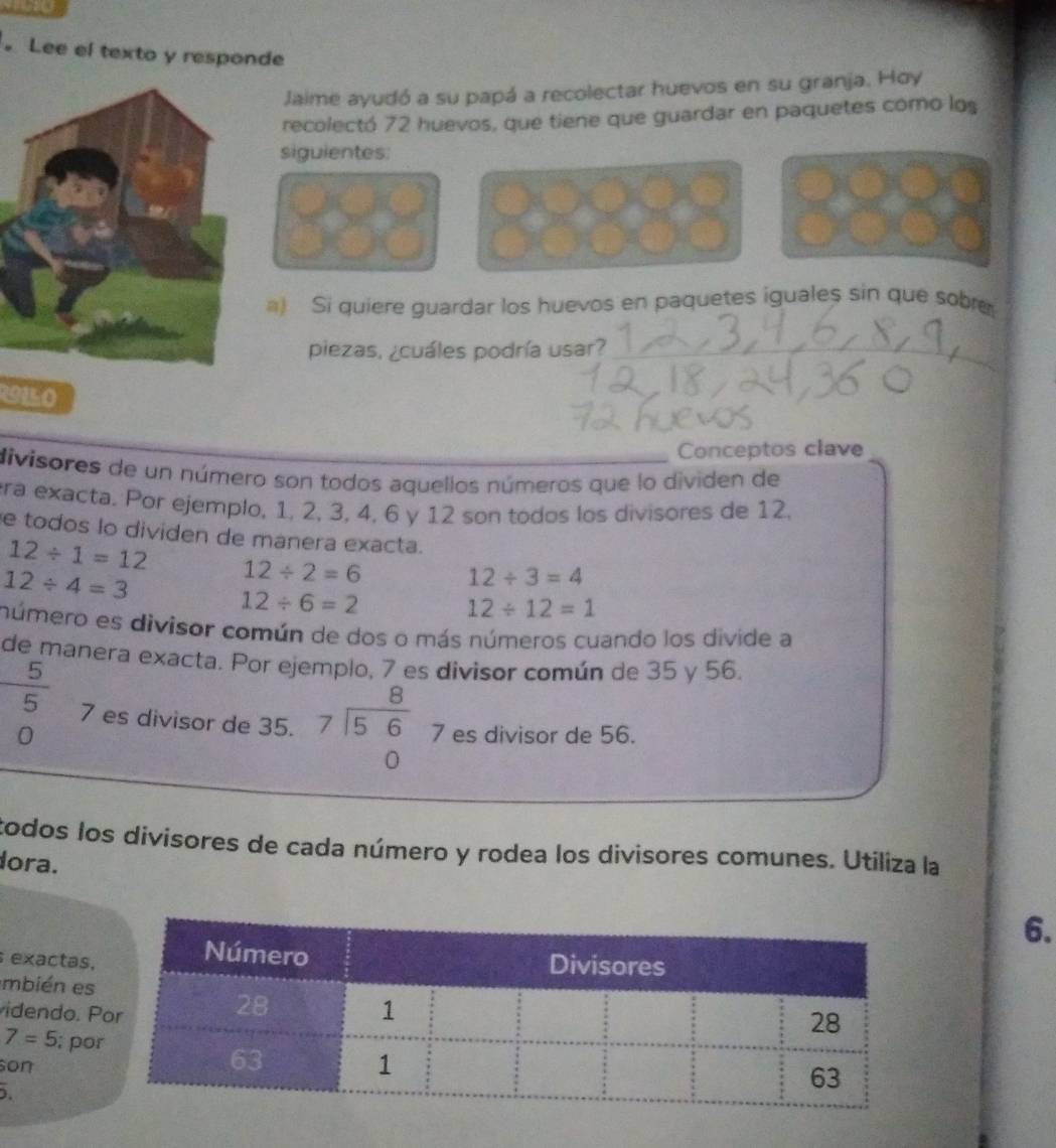 Lee el texto y responde 
Jaime ayudó a su papá a recolectar huevos en su granja. Hoy 
recolectó 72 huevos, que tiene que guardar en paquetes como los 
siguientes: 
a) Si quiere guardar los huevos en paquetes iguales sin que sobre 
piezas, ¿cuáles podría usar? 
R9150 
Conceptos clave 
divisores de un número son todos aquellos números que lo dividen de 
ra exacta. Por ejemplo, 1, 2, 3, 4, 6 y 12 son todos los divisores de 12, 
e todos lo dividen de manera exacta.
12/ 1=12 12/ 2=6
12/ 4=3
12/ 3=4
12/ 6=2
12/ 12=1
número es divisor común de dos o más números cuando los divide a 
de manera exacta. Por ejemplo, 7 es divisor común de 35 y 56.
frac 5beginarrayr 5 0endarray  7 es divisor de 35. beginarrayr 8 7encloselongdiv 56 0endarray 7 es divisor de 56. 
todos los divisores de cada número y rodea los divisores comunes. Utiliza la 
dora. 
6. 
exactas 
mbién es 
videndo.
7=5; po 
son