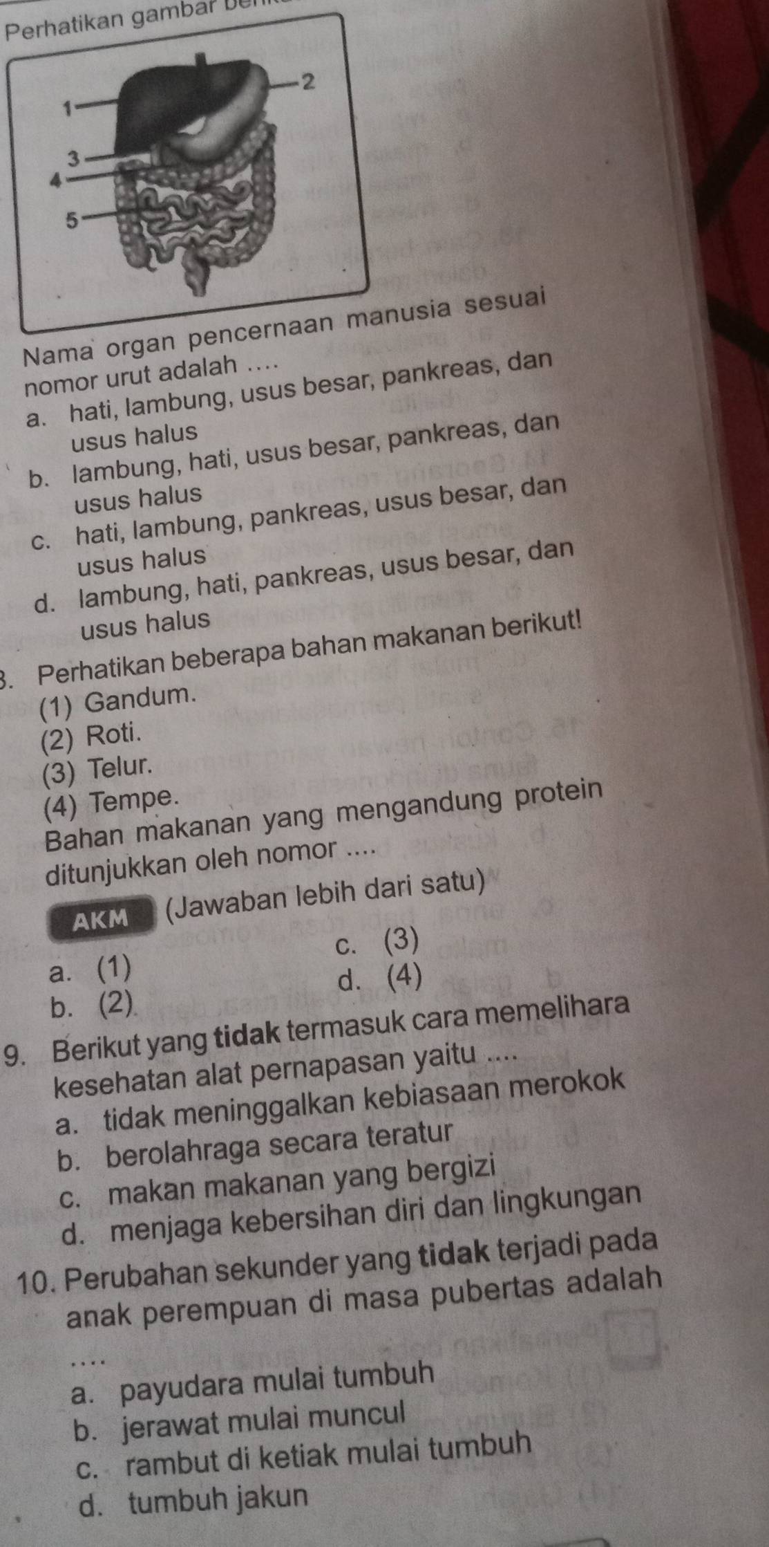 Perhatikan gambar ber
Nama orgsia sesuai
nomor urut adalah ....
a. hati, lambung, usus besar, pankreas, dan
usus halus
b. lambung, hati, usus besar, pankreas, dan
usus halus
c. hati, lambung, pankreas, usus besar, dan
usus halus
d. lambung, hati, pankreas, usus besar, dan
usus halus
3. Perhatikan beberapa bahan makanan berikut!
(1) Gandum.
(2) Roti.
(3) Telur.
(4) Tempe.
Bahan makanan yang mengandung protein
ditunjukkan oleh nomor ....
AKM 3 (Jawaban lebih dari satu)
a. (1) c. (3)
d. (4)
b. (2).
9. Berikut yang tidak termasuk cara memelihara
kesehatan alat pernapasan yaitu ....
a. tidak meninggalkan kebiasaan merokok
b. berolahraga secara teratur
c. makan makanan yang bergizi
d. menjaga kebersihan diri dan lingkungan
10. Perubahan sekunder yang tidak terjadi pada
anak perempuan di masa pubertas adalah
a. payudara mulai tumbuh
b. jerawat mulai muncul
c. rambut di ketiak mulai tumbuh
d. tumbuh jakun