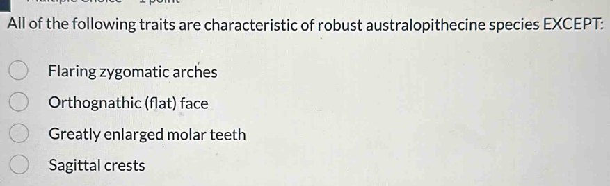 All of the following traits are characteristic of robust australopithecine species EXCEPT:
Flaring zygomatic arches
Orthognathic (flat) face
Greatly enlarged molar teeth
Sagittal crests