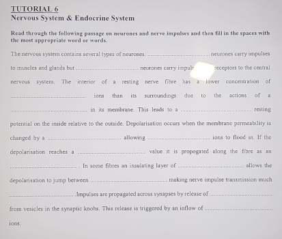 TUTORIAL 6 
Nervous System & Endocrine System 
Read through the following passage on neurones and nerve impulses and then fill in the spaces with 
the most appropriate word or words. 
The nervous system contains several types of neurones _neurones carry impulses 
to muscles and glands but _neurones carry impul receptors to the central 
nervous system. The interior of a resting nerve fibre has a lower concentration of 
_ions than its surroundings due to the actions of a 
_in its membrane. This leads to a _resting 
potential on the inside relative to the outside. Depolarisation occurs when the membrane permeability is 
changed by a _allowing _ ons to food in I th 
depolarisation reaches a _value it is propogated along the fibre as an 
_. In some fibres an insulating layer of _allows the 
depolarisation to jump between _making nerve impulse transmission much 
_Impulses are propagated across synapses by release of_ 
from vesicles in the synaptic knobs. This release is triggered by an inflow of_ 
ions.