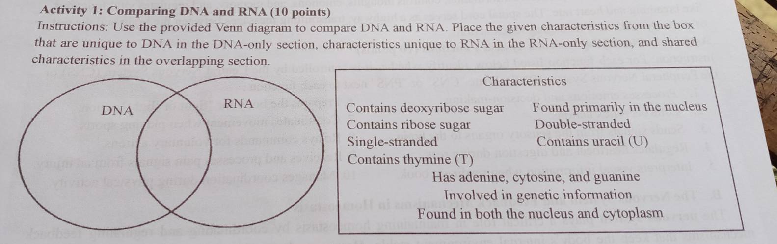 Activity 1: Comparing DNA and RNA (10 points) 
Instructions: Use the provided Venn diagram to compare DNA and RNA. Place the given characteristics from the box 
that are unique to DNA in the DNA-only section, characteristics unique to RNA in the RNA-only section, and shared 
characteristics in the overlapping section. 
Characteristics 
ontains deoxyribose sugar Found primarily in the nucleus 
ontains ribose sugar Double-stranded 
ngle-stranded Contains uracil (U) 
ontains thymine (T) 
Has adenine, cytosine, and guanine 
Involved in genetic information 
Found in both the nucleus and cytoplasm