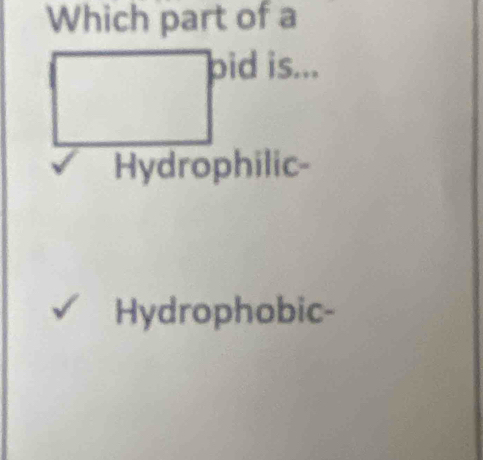 Which part of a 
pid is... 
Hydrophobic-