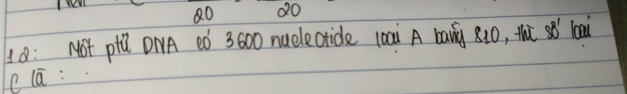 20
20
10: Not pil DNA ¢ó 3600 nuelectide loai A bany 810 ,, thú 88' loai 
c la :