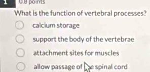 1 0.8 points
What is the function of vertebral processes?
calcium storage
support the body of the vertebrae
attachment sites for muscles
allow passage of the spinal cord