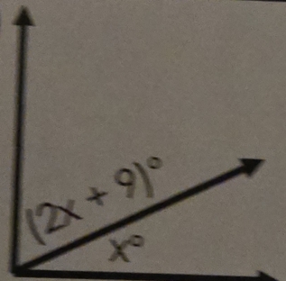 (2x+9)^circ 
x°