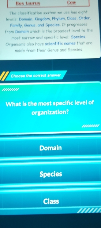 The classification system we use has eight
levels: Domain, Kingdom, Phylum, Class, Order,
Family, Genus, and Species. It progresses
from Domain which is the broadest level to the
most narrow and specific level: Species.
Organisms also have scientific names that are
made from their Genus and Species.
Choose the correct answer.
........
What is the most specifc level of
organization?
......
Domain
Species
Class