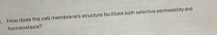 How does the cell membrane's structure facilitate both selective permeability and 
homeostasis?