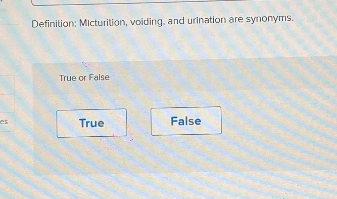 Definition: Micturition, voiding, and urination are synonyms.
True or False
es True False