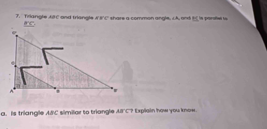 Triangle ABC and triangle A'B'C' share a common angle, ∠ A and _ BC is parallel to
_ B'C'. 
a. Is triangle ABC similar to triangle AB'C' ? Explain how you know.