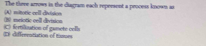 The three arrows in the diagram each represent a process known as
(A) mitotic cell division
(B) meñotic cell division
C) fertilization of gamete cells
D) differentiation of tissues