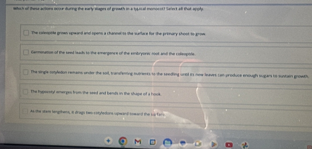 Which of these actions occur during the early stages of growth in a typical monocot? Select all that apply.
The coleoptile grows upward and opens a channel to the surface for the primary shoot to grow.
Germination of the seed leads to the emergence of the embryonic root and the coleoptile.
The single cotyledon remains under the soil, transferring nutrients to the seedling until its new leaves can produce enough sugars to sustain growth.
The hypocotyl emerges from the seed and bends in the shape of a hook.
As the stem lengthens, it drags two cotyledons upward toward the surface.