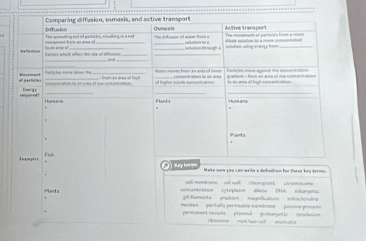 Comparing diffusion, osmosis, and active transport
Diffusion Active transport
a the spreading out of particles, resulling in a net Osmosis The diffusion of wacer from a solution to a The mosemens of particies frm a moee
so an area of movement from an area of
diute solution to a more cnncentrated
Definition _Eactors which affect the rite of difiusion and ___solution through a iolution using energy fro
_
Particles inove agaied the conuentrtion
of particles Mavemant _Particles move down the_ _Woter moves from an area of lom== concentration to as ars prafient - from an area of low concentration 
concentration to an area of low concentration - from an area of high 
of higher solute concentiution. to an area of high-concentiation.
required? Energy_
__
Humans Plants Humans
Plants
Examples Fish
Key terms Make sure you can write a definition for these key terms.
cell membrane cel well chloroplast chromosome
Plants concentration cytoplasm dilute DHA eukaryotic
gill Elamento gradient magnification mitochondna
mucleu partially permeable oumbrane paonive prosen
permament vacuole plenmid prokaryotic resolution
rposome mot ha cell stemuata