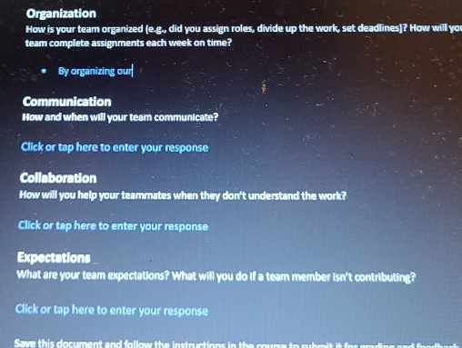 Solved: Organization How is your team organized (e.g., did you assign ...