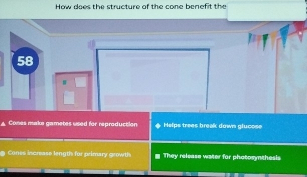 How does the structure of the cone benefit the
58
Cones make gametes used for reproduction Helps trees break down glucose
Cones increase length for primary growth They release water for photosynthesis