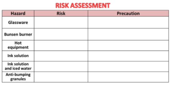 RISK ASSESSMENT