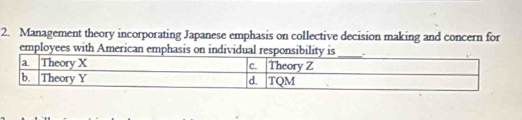 Management theory incorporating Japanese emphasis on collective decision making and concern for 
employees with American emphas