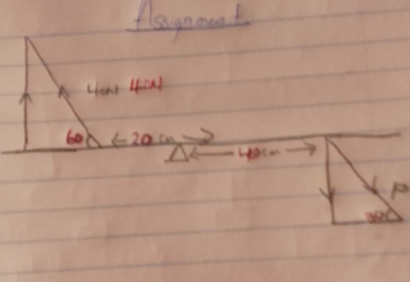 flsaynment
A ans4ow 
60 ∠ -20cm
48cm