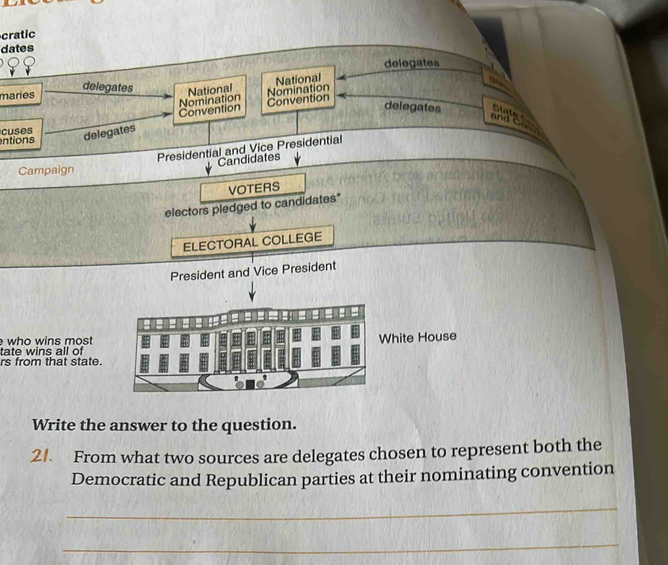 cratic 
dates 
delegates 
maries 
delegates National 
Nomination National 
Nomination Convention 
delegates 
Convention State 
and Co 
cuses 
entions 
delegates 
Presidential and Vice Presidential 
Campaign Candidates 
VOTERS 
electors pledged to candidates* 
ELECTORAL COLLEGE 
President and Vice President 
who wins most 
White House 
tate wins all of 
rs from that state. 
Write the answer to the question. 
2/. From what two sources are delegates chosen to represent both the 
Democratic and Republican parties at their nominating convention 
_ 
_