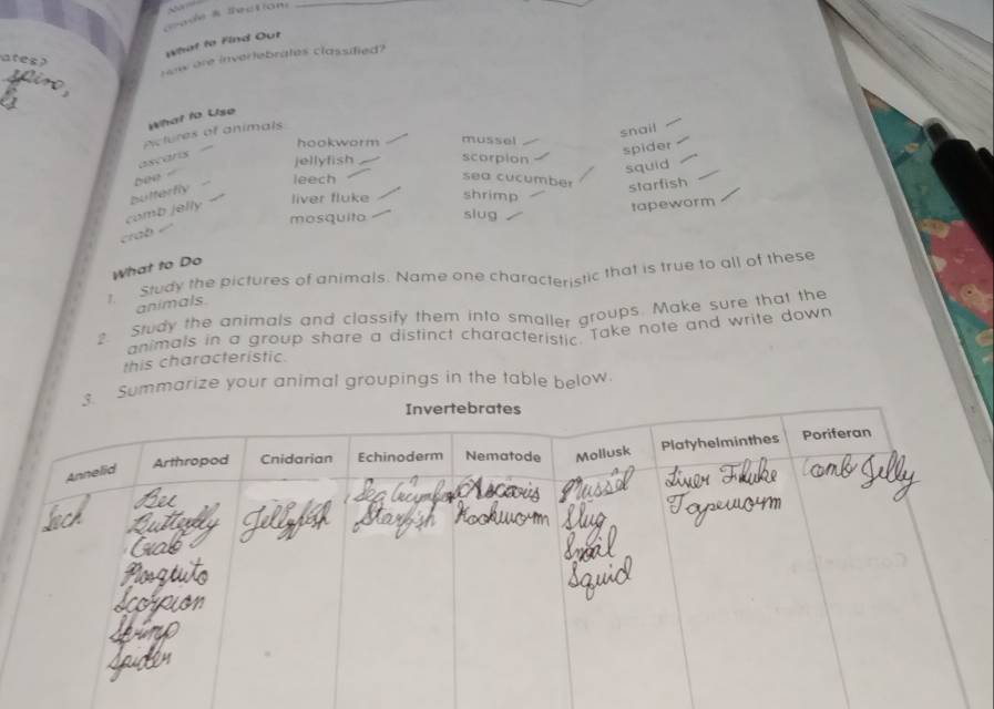 what to Find Out
ates?
Hew are inverlebrates classified?
What to Use
Actures of animals
snail
hookworm mussel
spider
ascaris jellyfish _scorpion
bee .
squid
leech
sea cucumber
comb jelly bulterfly
starfish
liver fluke shrimp
tapeworm
mosquito slug
crab
What to Do
study the pictures of animals. Name one characteristic that is true to all of these
animals.
2. Study the animals and classify them into smaller groups. Make sure that the
animals in a group share a distinct characteristic Take note and write down
this characteristic.
Summarize your animal groupings in the table below.