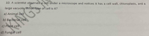 A scientist observes a cell under a microscope and notices it has a cell wall, chloroplasts, and a
large vacuole. What type of cell is it?
a) Animal cell
b) Bacterial cell
c) Plant cell
d) Fungal cell