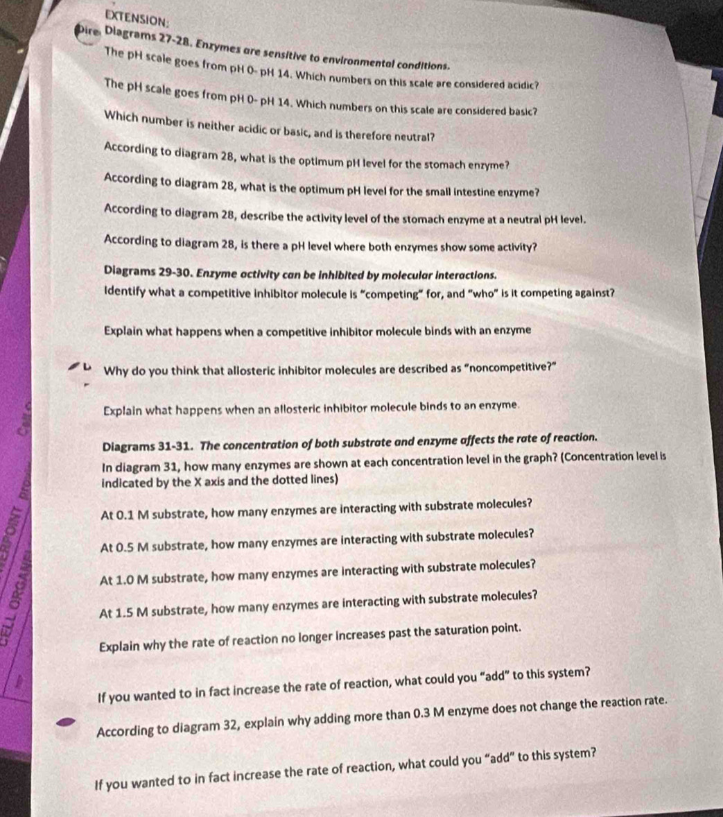 EXTENSION: 
Dire Diagrams 27-28. Enzymes are sensitive to environmental conditions. 
The pH scale goes from pH 0- pH 14. Which numbers on this scale are considered acidic? 
The pH scale goes from pH 0- pH 14. Which numbers on this scale are considered basic? 
Which number is neither acidic or basic, and is therefore neutral? 
According to diagram 28, what is the optimum pH level for the stomach enzyme? 
According to diagram 28, what is the optimum pH level for the small intestine enzyme? 
According to diagram 28, describe the activity level of the stomach enzyme at a neutral pH level. 
According to diagram 28, is there a pH level where both enzymes show some activity? 
Diagrams 29-30. Enzyme activity can be inhibited by molecular interactions. 
ldentify what a competitive inhibitor molecule is “competing” for, and "who” is it competing against? 
Explain what happens when a competitive inhibitor molecule binds with an enzyme 
Why do you think that allosteric inhibitor molecules are described as “noncompetitive?” 
Explain what happens when an allosteric inhibitor molecule binds to an enzyme. 
Diagrams 31-31. The concentration of both substrate and enzyme affects the rate of reaction. 
In diagram 31, how many enzymes are shown at each concentration level in the graph? (Concentration level is 
indicated by the X axis and the dotted lines) 
At 0.1 M substrate, how many enzymes are interacting with substrate molecules? 
At 0.5 M substrate, how many enzymes are interacting with substrate molecules? 
At 1.0 M substrate, how many enzymes are interacting with substrate molecules? 
At 1.5 M substrate, how many enzymes are interacting with substrate molecules? 
Explain why the rate of reaction no longer increases past the saturation point. 
If you wanted to in fact increase the rate of reaction, what could you “add” to this system? 
According to diagram 32, explain why adding more than 0.3 M enzyme does not change the reaction rate. 
If you wanted to in fact increase the rate of reaction, what could you “add” to this system?