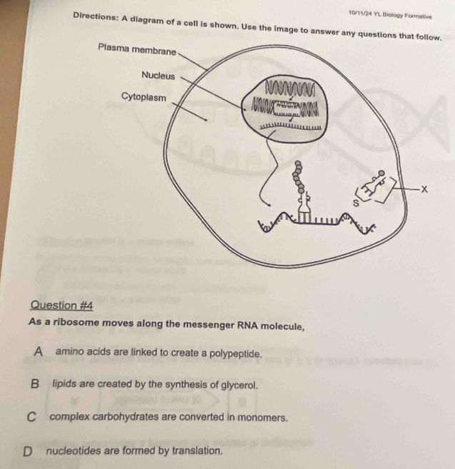 10/11/24 YL Biology Formative
Directions: A diagram of a cell is shown. Use the image to answer any questi.
Question #4
As a ribosome moves along the messenger RNA molecule,
A amino acids are linked to create a polypeptide.
B lipids are created by the synthesis of glycerol.
C complex carbohydrates are converted in monomers.
D nucleotides are formed by translation.