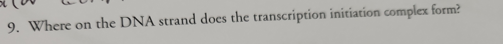 Where on the DNA strand does the transcription initiation complex form?