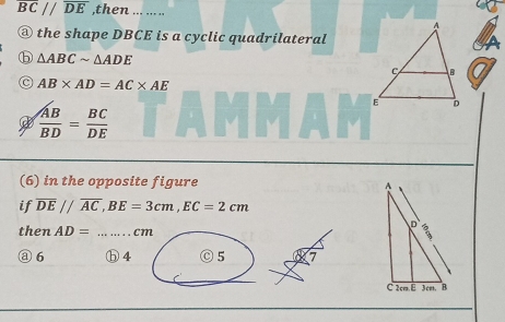 BC//overline DE ,then
@ the shape DBCE is a cyclic quadrilateral
△ ABCsim △ ADE
C AB* AD=AC* AE
 AB/BD = BC/DE 
(6) in the opposite figure 
if overline DE//overline AC, BE=3cm, EC=2cm
then AD=........ cm
③ 6 ⓑ 4 Ⓒ 5 7