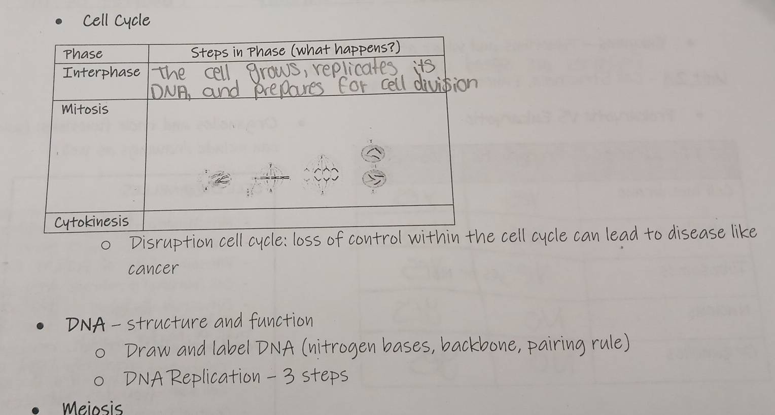 ell Cycle 
Meiosis