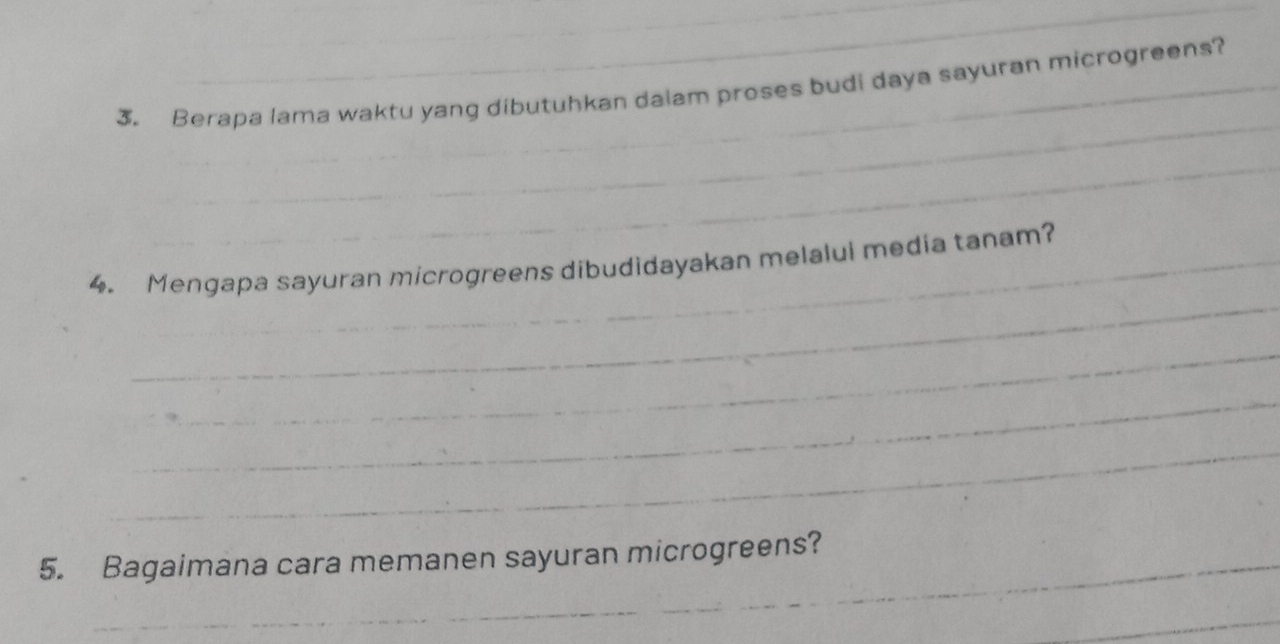 Berapa lama waktu yang dibutuhkan dalam proses budi daya sayuran microgreens? 
_ 
_ 
_ 
4. Mengapa sayuran microgreens dibudidayakan melalui media tanam? 
_ 
_ 
_ 
5. Bagaimana cara memanen sayuran microgreens? 
_