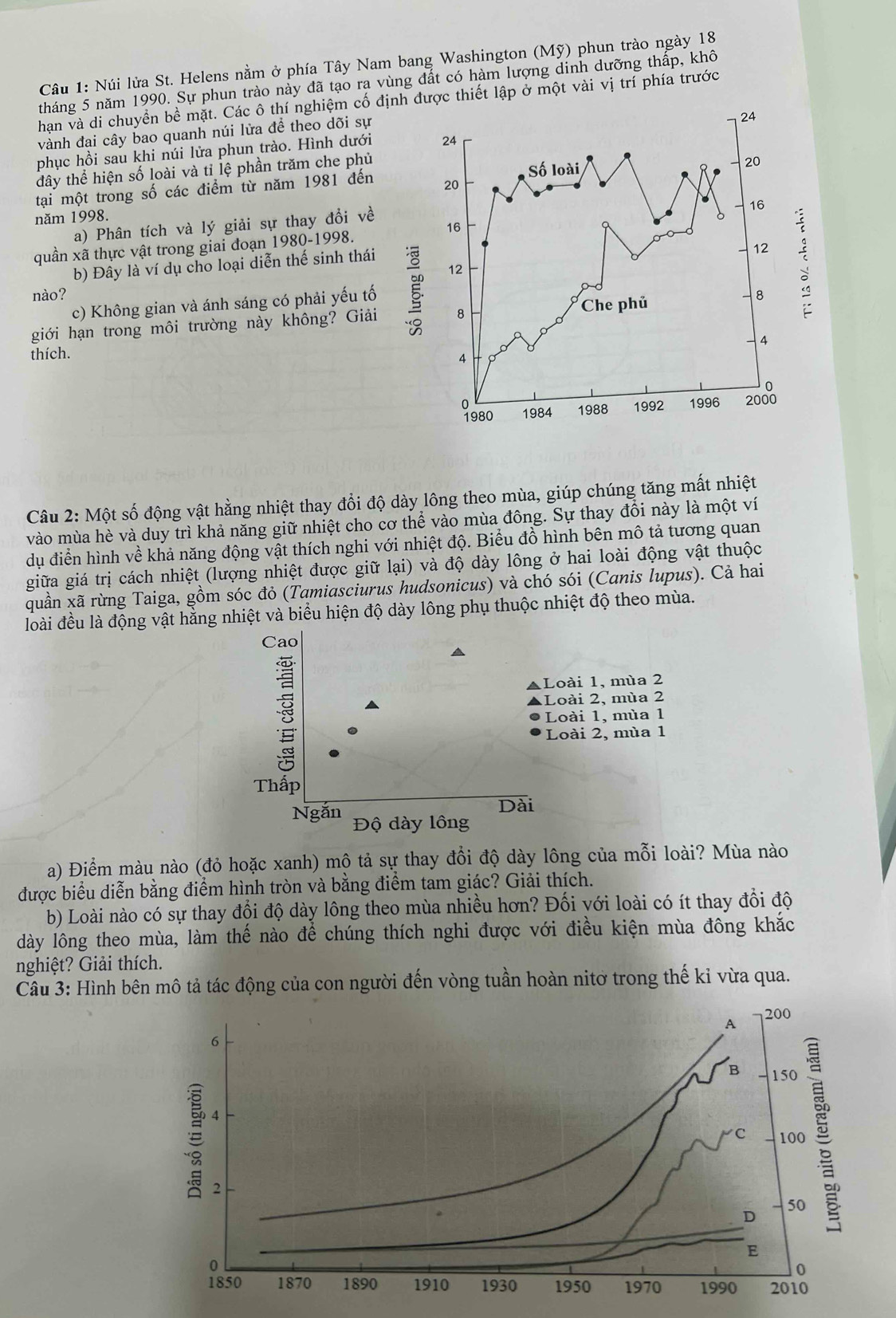 Núi lửa St. Helens nằm ở phía Tây Nam bang Washington (Mỹ) phun trào ngày 18
tháng 5 năm 1990. Sự phun trào này đã tạo ra vùng đất có hàm lượng dinh dưỡng thấp, khô
hạn và di chuyển bề mặt. Các ô thí nghiệm cố định được thiết lập ở một vài vị trí phía trước
vành đai cây bao quanh núi lửa để theo dõi sự
phục hồi sau khi núi lửa phun trào. Hình dưới 24 24
R
dây thể hiện số loài và tỉ lệ phần trăm che phủ
tại một trong số các điểm từ năm 1981 đến 20 Số loài
20
16
năm 1998.
a) Phân tích và lý giải sự thay đổi về
16
quần xã thực vật trong giai đoạn 1980-1998.
b) Đây là ví dụ cho loại diễn thế sinh thái
12
12
nào?
c) Không gian và ánh sáng có phải yếu tố

giới hạn trong môi trường này không? Giải 8 Che phủ 8
4
thích. 4
0 1984 1988 1992 1996 2008
1980
Câu 2: Một số động vật hằng nhiệt thay đổi độ dày lông theo mùa, giúp chúng tăng mất nhiệt
vào mùa hè và duy trì khả năng giữ nhiệt cho cơ thể vào mùa đông. Sự thay đổi này là một ví
dụ điển hình về khả năng động vật thích nghi với nhiệt độ. Biểu đồ hình bên mô tả tương quan
giữa giá trị cách nhiệt (lượng nhiệt được giữ lại) và độ dày lông ở hai loài động vật thuộc
quần xã rừng Taiga, gồm sóc đỏ (Tamiasciurus hudsonicus) và chó sói (Canis lupus). Cả hai
loài đều là động vật hằng nhiệt và biểu hiện độ dày lông phụ thuộc nhiệt độ theo mùa.
Cao
A Loài 1, mùa 2
▲Loài 2, mùa 2
Loài 1, mùa 1
Loài 2, mùa 1
Thấp
Dài
Ngắn Độ dày lồng
a) Điểm màu nào (đỏ hoặc xanh) mộ tả sự thay đổi độ dày lông của mỗi loài? Mùa nào
được biểu diễn bằng điểm hình tròn và bằng điểm tam giác? Giải thích.
b) Loài nào có sự thay đổi độ dày lông theo mùa nhiều hơn? Đối với loài có ít thay đổi độ
dày lông theo mùa, làm thế nào để chúng thích nghi được với điều kiện mùa đông khắc
nghiệt? Giải thích.
Câu 3: Hình bên mô tả tác động của con người đến vòng tuần hoàn nitơ trong thế kỉ vừa qua.