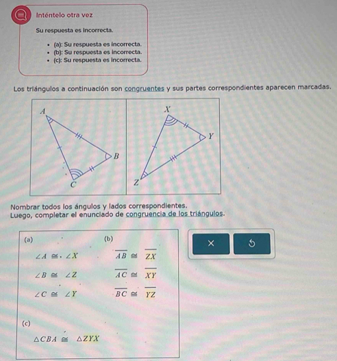 a Inténtelo otra vez
Su respuesta es incorrecta.
(a): Su respuesta es incorrecta.
(b): Su respuesta es incorrecta.
(c): Su respuesta es incorrecta.
Los triángulos a continuación son congruentes y sus partes correspondientes aparecen marcadas.
Nombrar todos los ángulos y lados correspondientes.
Luego, completar el enunciado de congruencia de los triángulos.
(a) (b)
× 6
∠ A≌ ∠ X overline AB≌ overline ZX
∠ B≌ ∠ Z overline AC≌ overline XY
∠ C≌ ∠ Y overline BC≌ overline YZ
(c)
△ CBA≌ △ ZYX