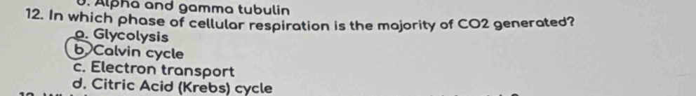 Alpha and gamma tubulin
12. In which phase of cellular respiration is the majority of CO2 generated?. Glycolysis
b Calvin cycle
c. Electron transport
d. Citric Acid (Krebs) cycle