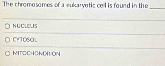 The chromosomes of a eukaryotic cell is found in the_
nucleus
CYTOSOL
MITOCHONDRION