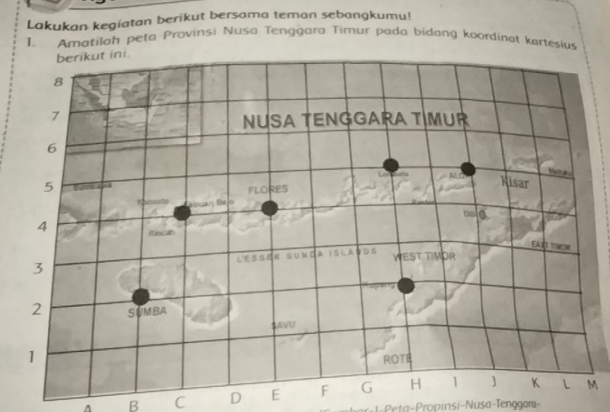 Lakukan kegiatan berikut bersama teman sebangkumu! 
1. Amatilah peta Provinsi Nusa Tenggara Timur pada bidang koordinot kortesius 
^ B C D EM 
-1-Peta-Propinsi-Nusa-Tenggam-