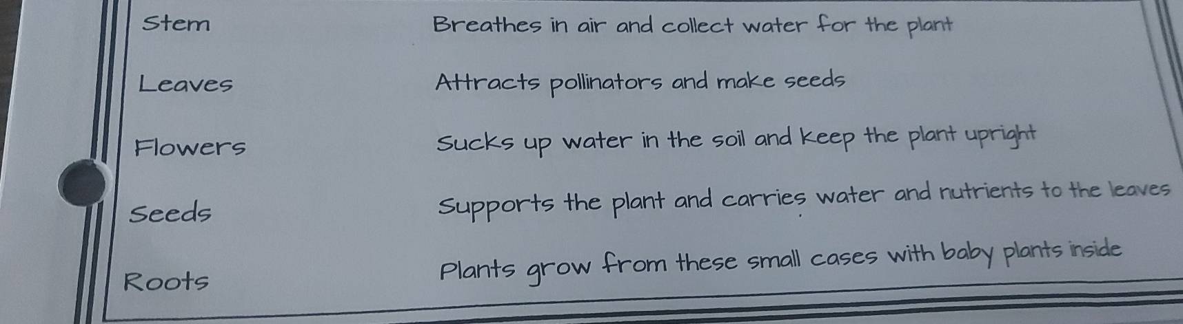 Stem Breathes in air and collect water for the plant 
Leaves Attracts pollinators and make seeds 
Flowers Sucks up water in the soil and keep the plant upright 
Seeds Supports the plant and carries water and nutrients to the leaves 
Roots Plants grow from these small cases with baby plants inside