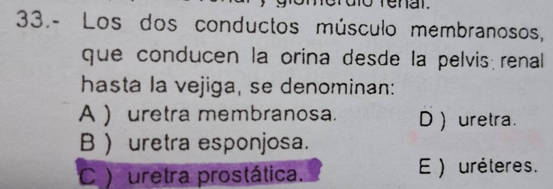 tenal.
33.- Los dos conductos músculo membranosos,
que conducen la orina desde la pelvis renal 
hasta la vejiga, se denominan:
A ) uretra membranosa.
D uretra.
B  uretra esponjosa.
C ) uretra prostática.
E ) uréteres.