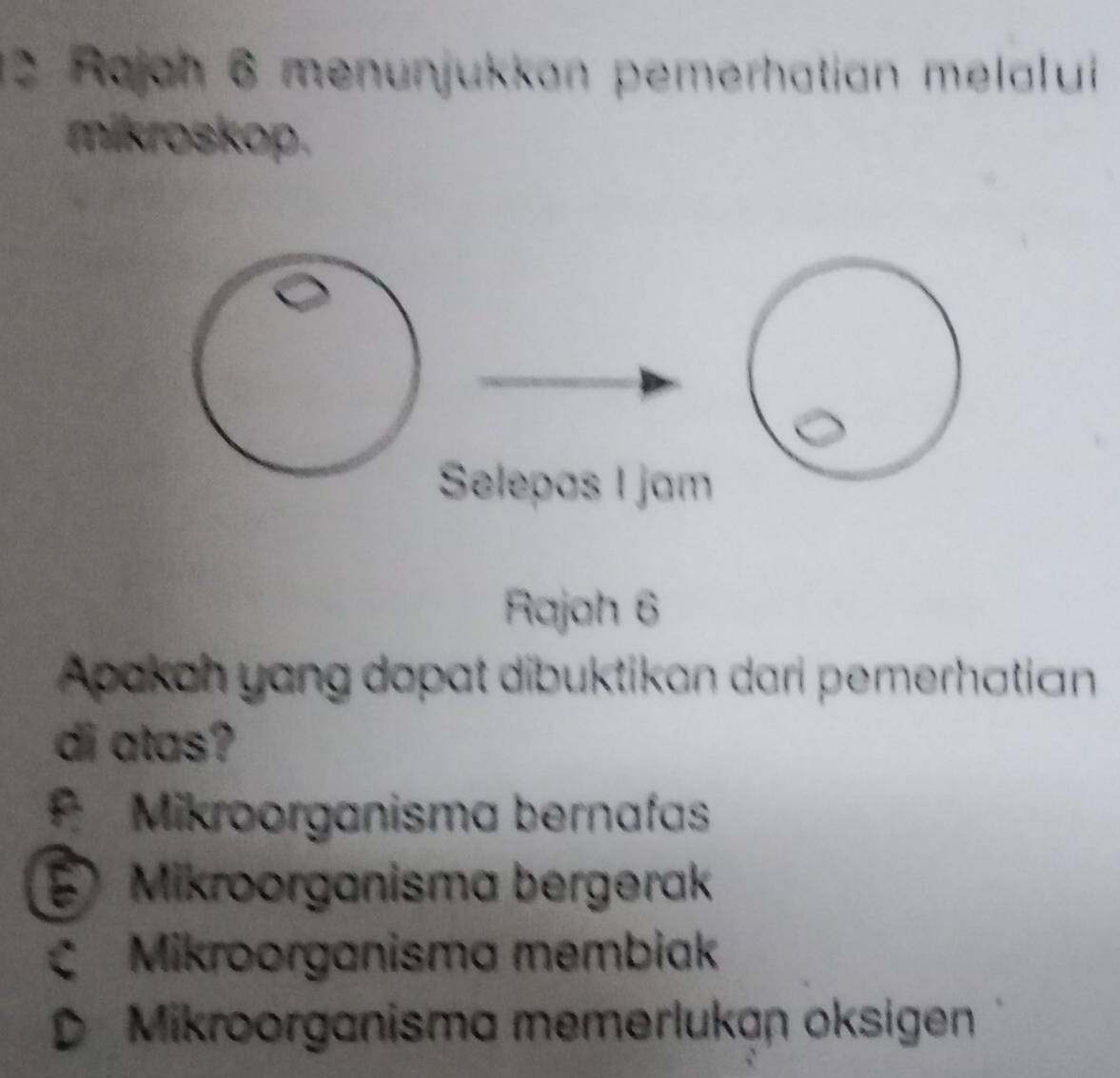 Rajah 6 menunjukkan pemerhatian melalui
mikroskop.
Selepas I jam
Rajah 6
Apakah yang dapat dibuktikan dari pemerhatian
di atas?
Mikroorganisma bernafas
Mikroorganisma bergerak
Mikroorganisma membiak
D Mikroorganisma memerlukan oksigen