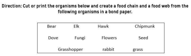 Direction: Cut or print the organisms below and create a food chain and a food web from the 
following organisms in a bond paper.