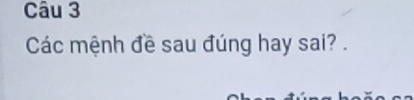 Các mệnh đề sau đúng hay sai? .