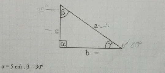 a=5cm, beta =30°