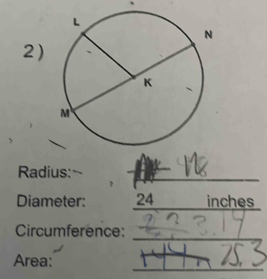 Radius: 
_ 
Diameter: 24 inches
_ 
Circumference: 
_ 
_ 
_ 
Area: