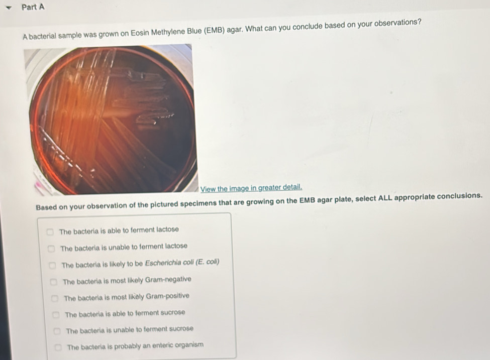 Solved: A bacterial sample was grown on Eosin Methylene Blue (EMB) agar ...